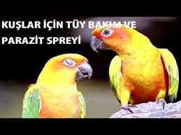 Kuslar Icin Tuy Bakim Ve Parazit Spreyi Tanitimi Youtube