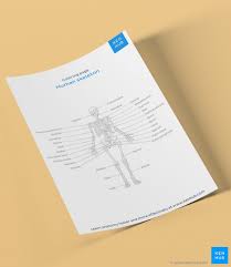 An anatomy coloring page can cover any anatomical structure but is especially useful for getting to grips with more complex structures like the. Anatomy Coloring Pages A Fun Effective Revision Tool Kenhub