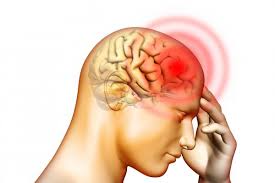 Rare clinical cases have also been reported in other species, such as cattle. á… Como Funciona La Encefalitis Como Funciona