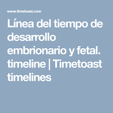 Linea Del Tiempo De Desarrollo Embrionario Y Fetal Timeline Timetoast Timelines Linea Del Tiempo Desarrollo Fetal Lineas De Tiempo
