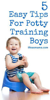 5 Easy Tips For Potty Training Boys Potty Training Boys Starting Potty Training Potty Training Tips