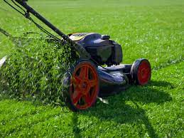 Delivered to you right when you need it. 8 Spring Tasks To Foster A Great Lawn