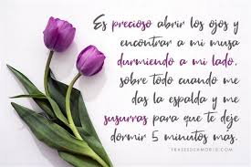 Verán esque yo quiero mucho a mi novio y el dice que yo casi nunca le mando mensajes. Las Mejores Frases De Buenos Dias Para Tu Amor
