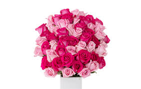 Shop for fresh cut flowers in food gifts & flowers shop. Floral Costco