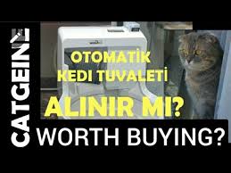 Catgenie Automatic Cat Toilet Settings And My 2 Year Experience Youtube