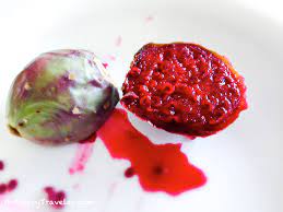 Camels need those big papillae because of what they're eating. How To Eat A Prickly Pear