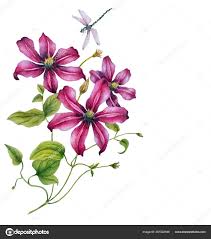 Floral tropical seamless pattern for wallpaper, print, fabric, textile. Lilac Clematis Art Print Watercolor Botanical Illustration Prints Giclee Leadcampus Org