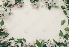 Oltre 61.000 vettori, foto stock e file psd. Cornice Con Fiori Di Mela Sfondo Fiore Primaverile Vista Superiore Foto D Archivio Crushpixel