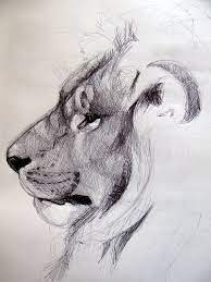 51 Wild Animal Pencil Drawing Ideas Animal Sketches Pencil Sketches Of Animals Cute Animal Drawings Simple animal to draw major masses simple animal drawings in pencil.