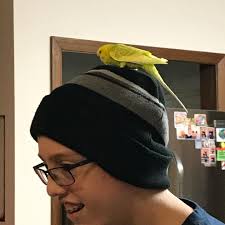 Dana Kay Brenner (@onlinedyslexiatherapist) • Instagram photos and videos