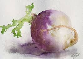 Navet 1 Aquarelle Format 18x24 Cm Aquarellistes Idees D Aquarelle Dessin Fruits
