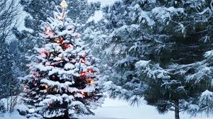 Christmas 4k Wallpapers Wallpaper Cave Wallpapers in ultra hd 4k 3840x2160, 8k 7680x4320 and 1920x1080 high definition resolutions. christmas 4k wallpapers wallpaper cave
