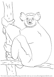 Coloring pages are always a good way to keep your child occupied whether your are in the house or traveling on the road. Learn How To Draw A Indri Other Animals Step By Step Drawing Tutorials