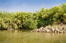 Listen to music by jordan river banks on apple music. Plants And Bushes Growing Along The Banks Of The Jordan River Stock Photo Picture And Royalty Free Image Image 52254187