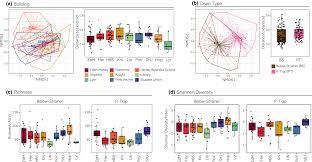 White kitchen sink materials compared with a eukaryotic cell. Characterization Of Communal Sink Drain Communities Of A University Campus Withey Environmental Dna Wiley Online Library
