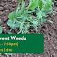 Weeding: How to prevent weeds and Manage the ones...