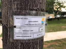 Gak masalah kok jawabku mengiyakan pertanyaan mama walaupun hatiku keberatan. Majlis Perbandaran Sepang Local Cyberjaya Community Facebook