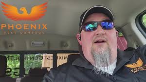 How to Deal With Carpenter Bees Part 17