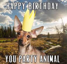 Funny Birthday Wishes For Men Images 50 Best Funny Birthday Wishes For Men Make A Funny Bday Birthday Wishes Funny Birthday Wishes For Men Birthday Humor