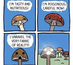 Saw This And Thought It Belonged Here Funnymemes Funnyschooljokes Funnyfacts Funnyrelatablememes Crazyfunnymemes Stupidfu In 2020 Memes Funny Memes Relatable