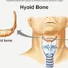 Articulation, which is the joining together of two bone structures, is what makes movement possible and the point of articulation between two bones is called a joint. 1