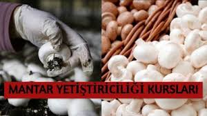 Sağlık bakanlığımerkezi hekim randevu sistemi (mhrs). Mhrs Erken Randevu Nasil Alinir Randevu Alma Taktigi 2021