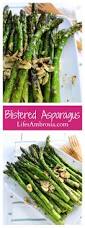 Image result for Asparagus aspergillus