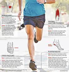 The Wall Street Journal On Twitter: "How To Avoid Injuries, Knee Pain And  Foot Problems When You Run: Http://T.co/Tlczelqgkx Http://T.co/9Dqhlbghux"  / Twitter