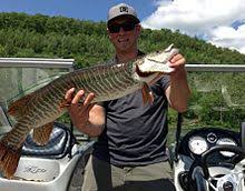 Tiger Muskellunge Revolvy