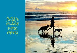If you are in need of routine medical, surgical, or dental care for your pet, call us today! Kindness Pet Hospital Santa Rosa Beach Veterinary Clinic