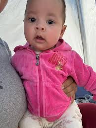 Dachshund owners sharing experiences with jean jackets for their dogs