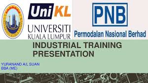 Pnb was established on 17 march 1978 as one of the instruments. Industrial Training Nand