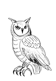 Free owloring pages printable for adults to printored in full movie episodes. Owls To Color For Kids Owls Kids Coloring Pages