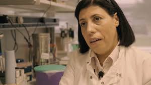 Seeking Understanding: Isabel de Moraes