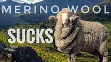 Merino Wool is Overrated! - YouTube