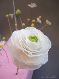 Ranunculus Sugar Flowers Flowers Edible Flowers