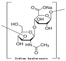 Sodium hyaluronate is the sodium salt of hyaluronic acid. Sodium Hyaluronate 9067 32 7