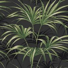 Check spelling or type a new query. Black Green Commercial Open Palm Leaf Wallpaper Green Open Palm Leaf 54 Wallcovering