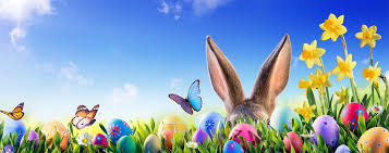 Free for commercial use no attribution required high quality images. Annual Easter Egg Hunt