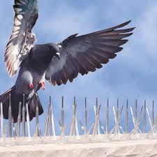Based on other ultrasonic pest repeller review, this animal product is ideal for use in any automobile. Bird B Gone Polycarbonate Spike Wildlife Control Supplies Product Code Bbg2000