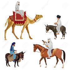 So if you're a camel trader, you can use walk, pace, and gallop as they are meant, but if you just want to describe a camel going, walking and running are fine. Set Of Riders On Different Animals Camel Horse And Donkey Royalty Free Cliparts Vectors And Stock Illustration Image 94691612