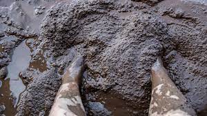To throw or hurl mud make disgraceful. Pain Relief May Be Found In The Mud Cosmos Magazine