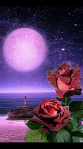 Pin By Lorena Apodaca On Roses Beautiful Moon Images Moon Pictures Beautiful Nature