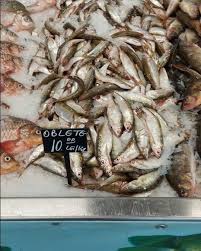 Pucheni nr 42, parter, sector 5. Atelierul Pescaresc Posts Facebook