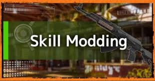 These include things like scopes, sights, grips, and barrel attachments that increase certain weapons stats. Division2 Skill Modding Guide All Skill Mods List Effects Gamewith