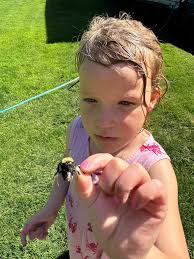 Finding a Dead Bumblebee While Gardening with Nana