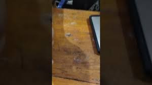 Abistu kau ingat perempuan takde dara tu tak nak ke lelaki soleh untuk. Download 9 Tanda Lelaki Teruna Atau Tidak Mp4 Mp3 3gp Naijagreenmovies Fzmovies Netnaija