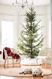 We offer many designs to help you turn your home into a seasonal masterpiece. 15 Sparse Christmas Trees Kelly Elko