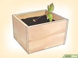 Since this group blooms only on old wood, cutting too low or too early in the season could cost you flowers! How To Propagate Clematis With Pictures Wikihow