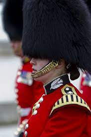 British Army Household Division Foot Guards In London British Army Uniform British Army British
